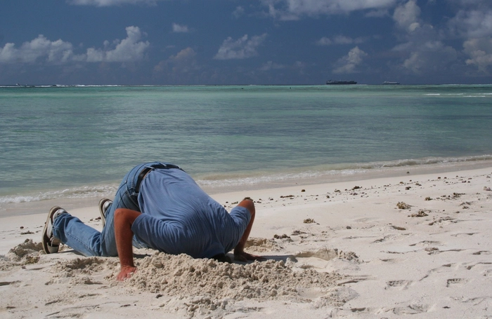 Head in the Sand