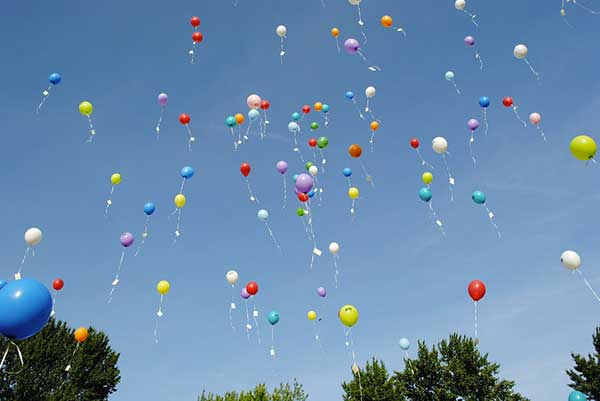 In Memory of Guillaume