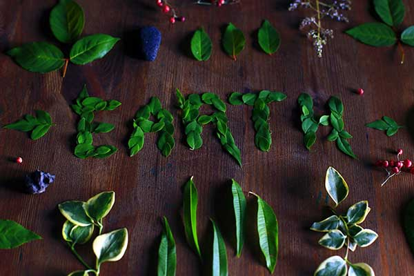 On Earth Day