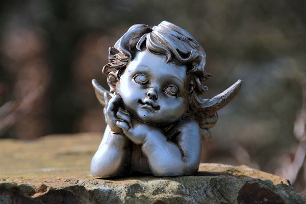The Little Angels