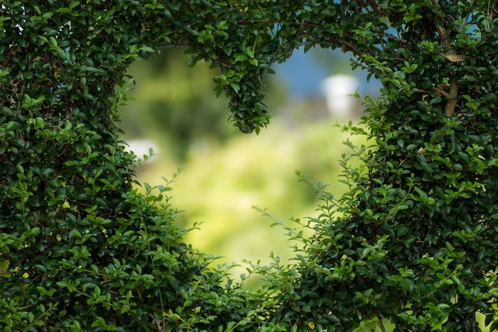 What if we told each other we love each other?