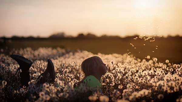 Your Childlike Heart